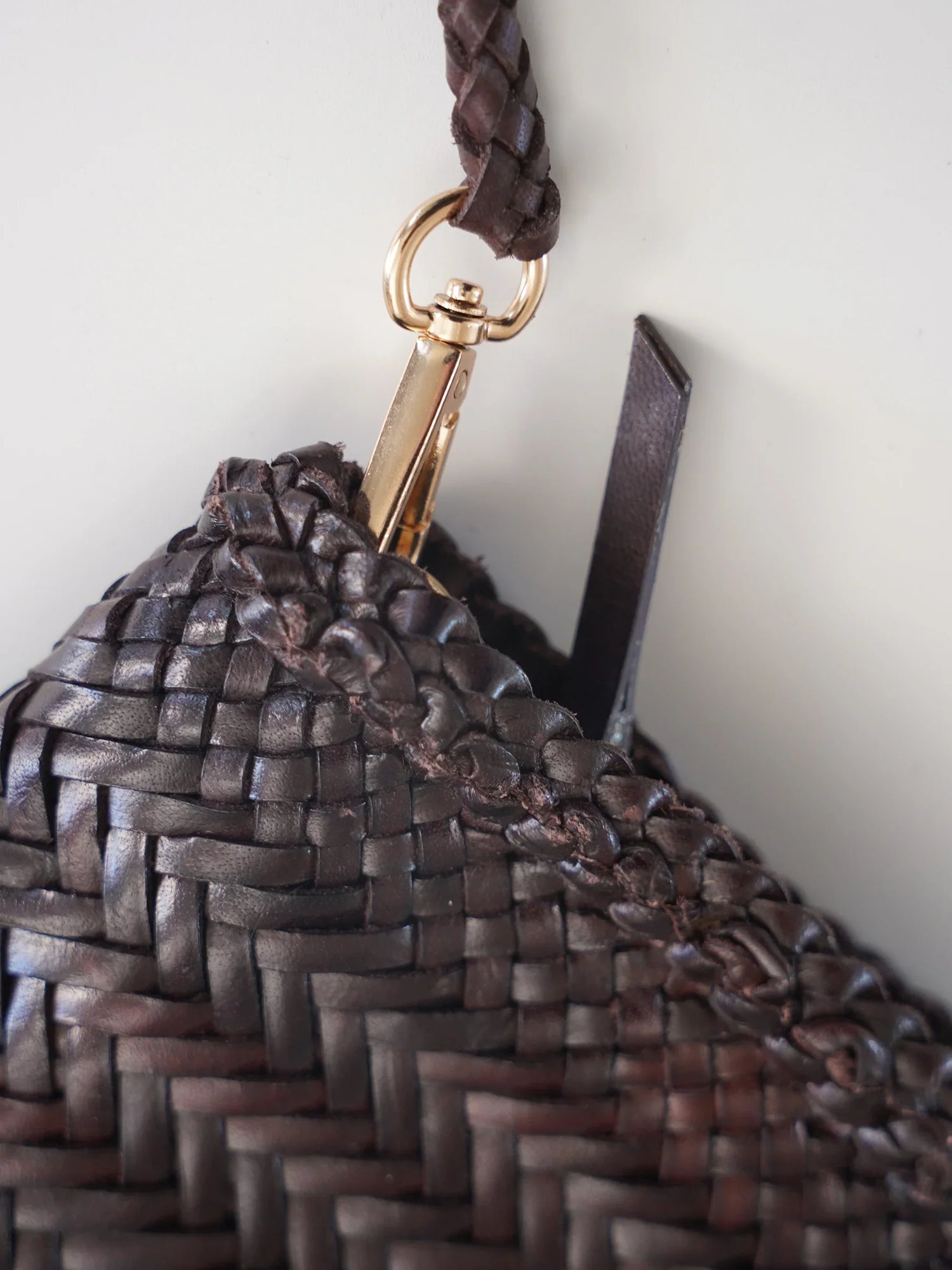 Vipera